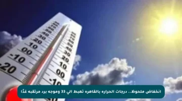 انخفاض ملحوظ.. درجات الحرارة بالقاهرة تهبط إلى 33 وموجة برد مرتقبة غدًا